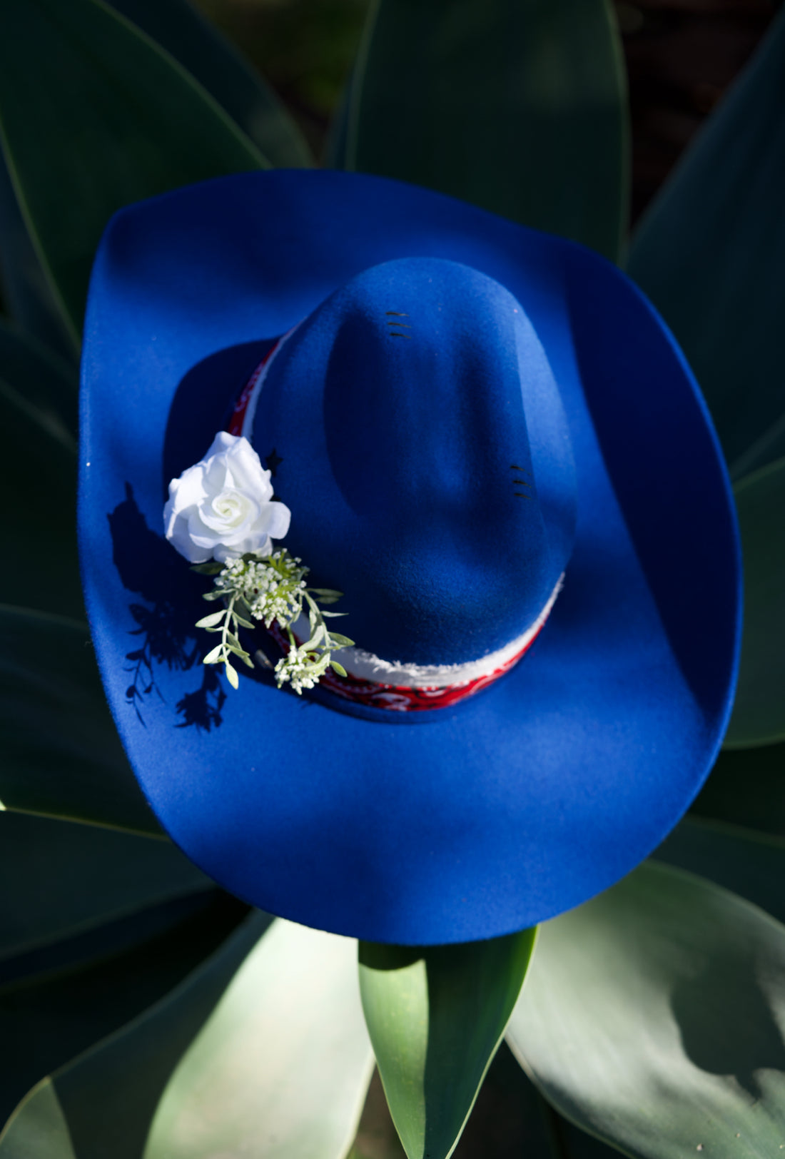 Retro Cowgirl Pinup:  Wild & Free!  Serratelli Felt Cowboy Hat