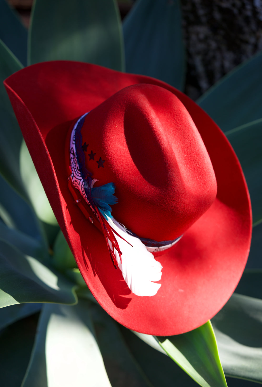 Retro Cowgirl Pinup:  Cowgirl Up! Serratelli Felt Cowboy Hat